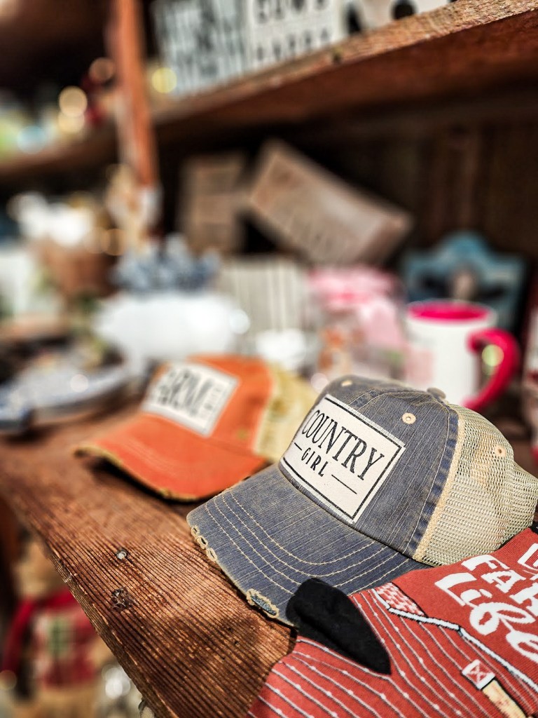 email marketing database